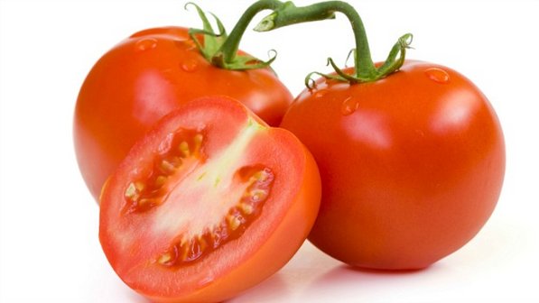 Tomate - Tartarugas AVPH